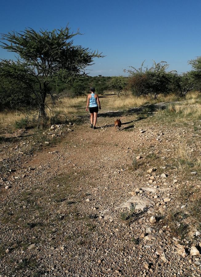 Etotongwe Lodge Outjo Kültér fotó